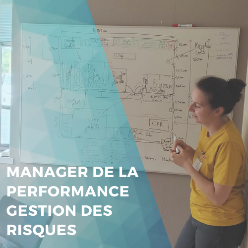 Manager de la performance – orientation gestion des risques / orientation développement durable et RSE