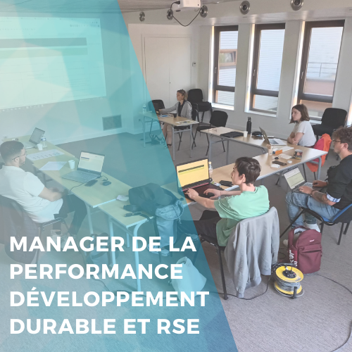 Manager de la performance – orientation développement durable et RSE